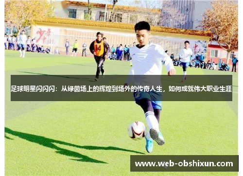 足球明星闪闪闪：从绿茵场上的辉煌到场外的传奇人生，如何成就伟大职业生涯