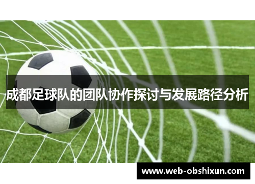 成都足球队的团队协作探讨与发展路径分析
