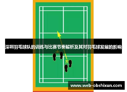 深圳羽毛球队的训练与比赛节奏解析及其对羽毛球发展的影响