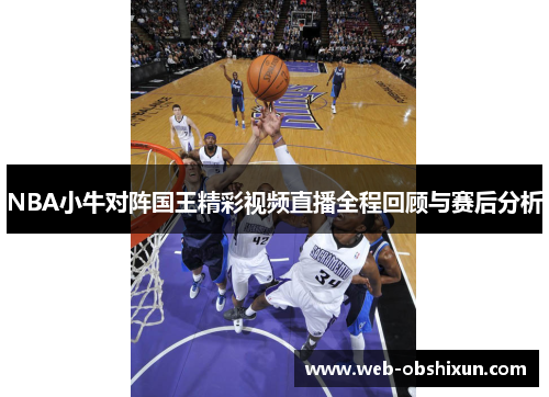 NBA小牛对阵国王精彩视频直播全程回顾与赛后分析